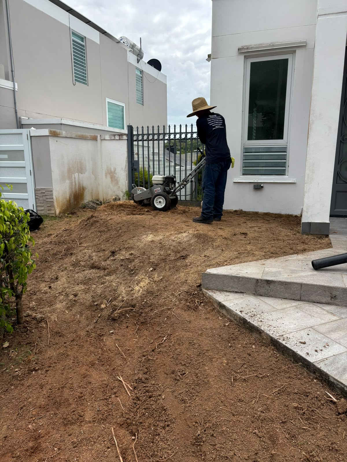 Trabajo GGO Services